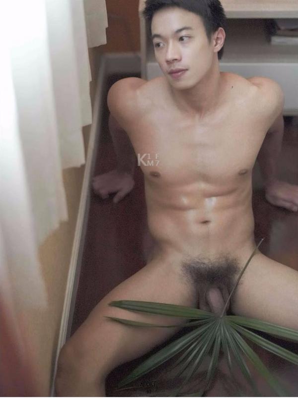 Addict--The-Premium-Issue